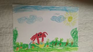 kr%%C3%%B3lik i krab 3